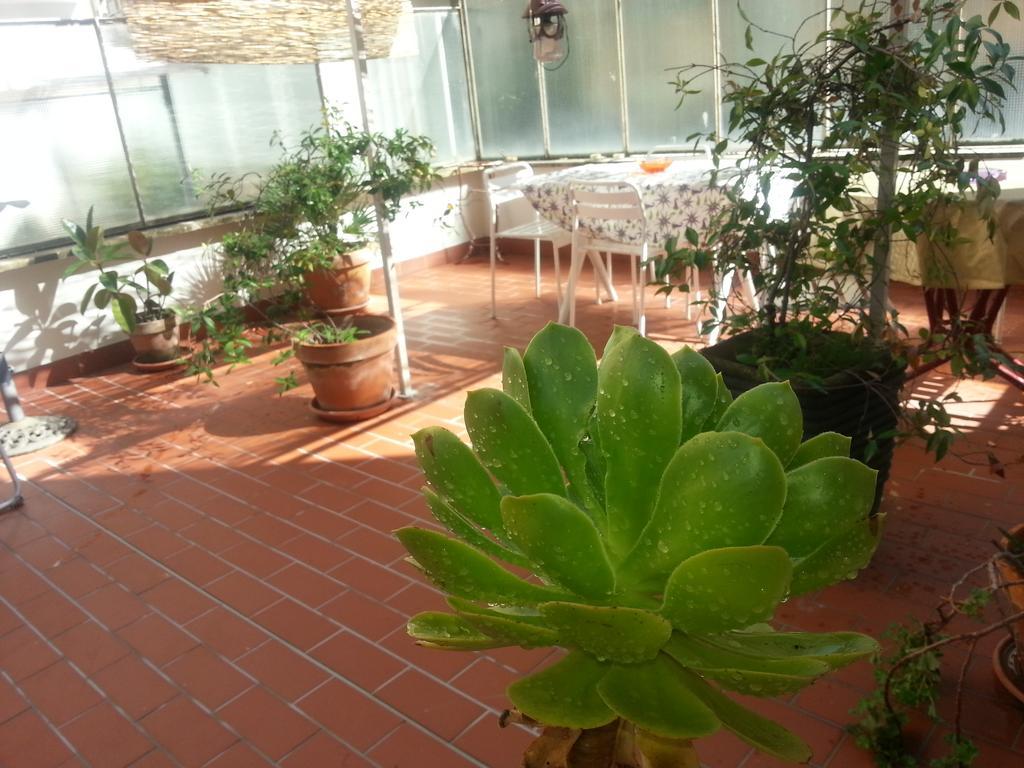 Appartamento Pacelli *