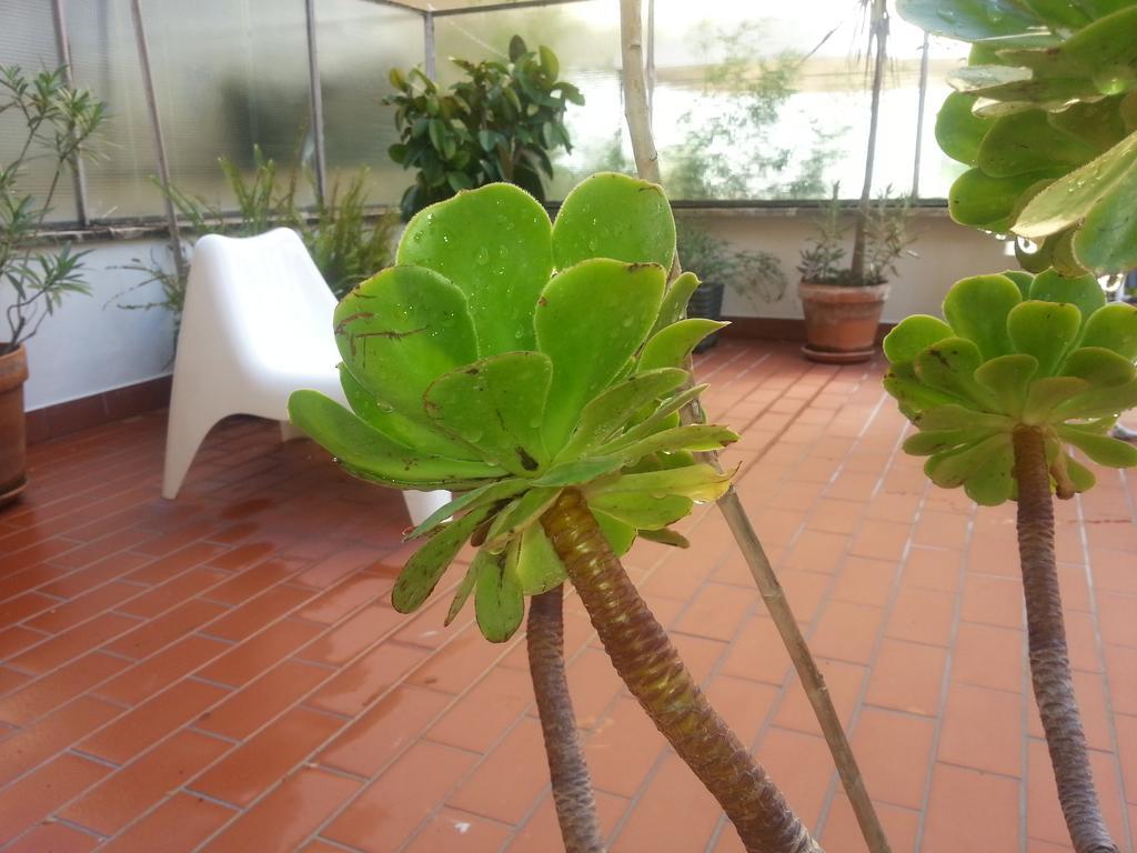 Apartamento Pacelli *